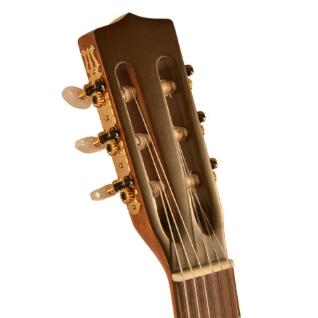 La Patrie, Etude Nylon String Guitar - Image 4