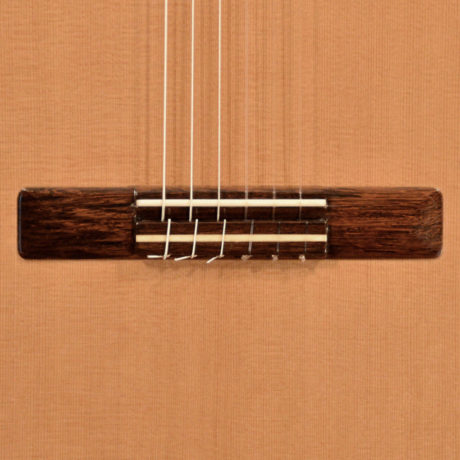 Juan Labella Classical Guitar