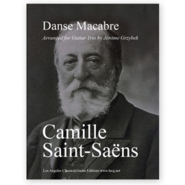 Danse-Macabre-Jerome-Grzybek