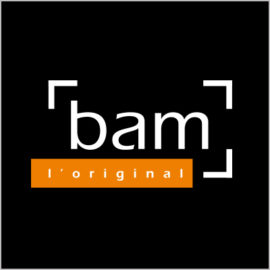 BAM Cases