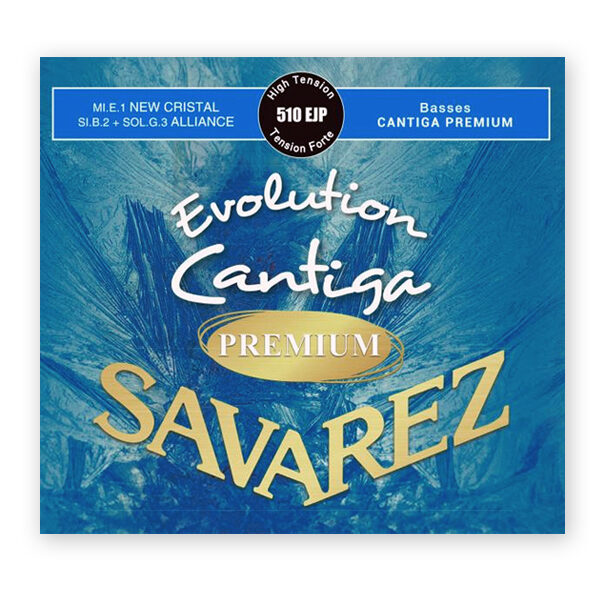 strings-savarez-ejp-evolution-premium