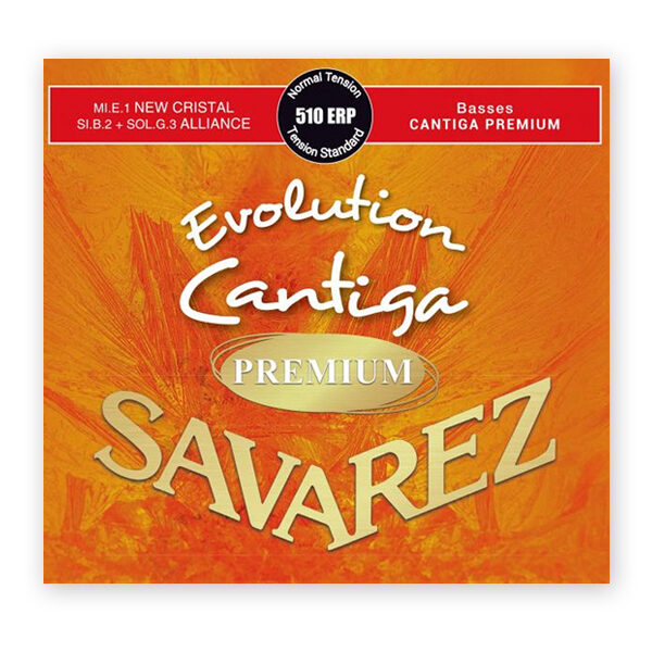 strings-savarez-erp-evolution-premium